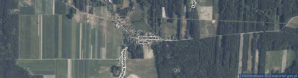 Zdjęcie satelitarne Bobrowska Wola ul.